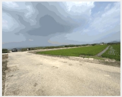  2025Ÿ��51234 ���� ���� ���ٸ� �۷θ� 1052-1      ����(��)���