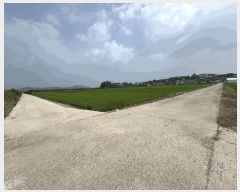  2025Ÿ��51234 ���� ���� ���ٸ� �۷θ� 1052-1      ����(��)���