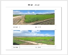  2025Ÿ��51234 ���� ���� ���ٸ� �۷θ� 1052-1      ����(��)���