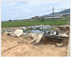  2025Ÿ��51264  ����