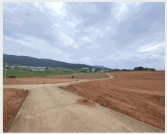  2025Ÿ��51264  ����