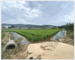  2025Ÿ��51264  ����