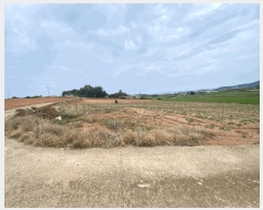  2025Ÿ��51264  ����