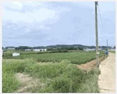  2025Ÿ��51264  ����