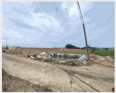  2025Ÿ��51264  ����