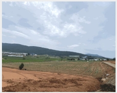  2025Ÿ��51264  ����