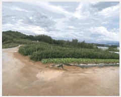  2025Ÿ��51346 ���� ���ϱ� ������ ������ 258-1      ����(��1)���