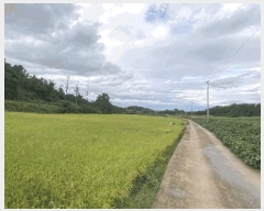  2025Ÿ��51346 ���� ���ϱ� ������ ������ 258-1      ����(��1)���