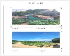  2025Ÿ��51346 ���� ���ϱ� ������ ������ 258-1      ����(��1)���