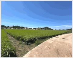  2025Ÿ��51353  �����