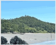  2025Ÿ��51353  �����