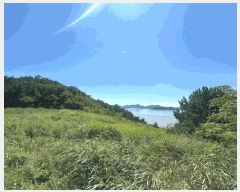  2025Ÿ��51353  �����