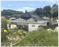  2025Ÿ��51365  ���ð��