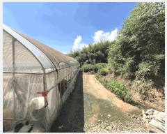  2025Ÿ��51388 ���� ���ϱ� ������ ���帮 417-3      ����(��1)���