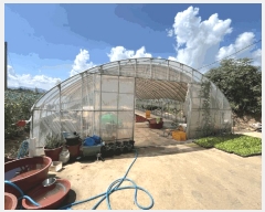  2025Ÿ��51388 ���� ���ϱ� ������ ���帮 417-3      ����(��1)���