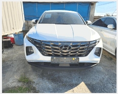  2025Ÿ��51434           �������