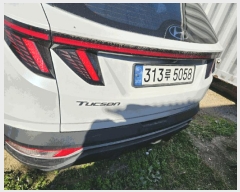  2025Ÿ��51434           �������