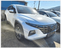  2025Ÿ��51434           �������