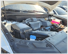  2025Ÿ��51434           �������