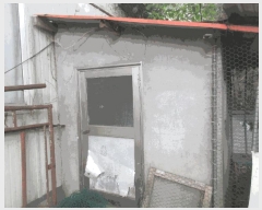  2025Ÿ��51454  �������