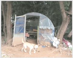  2025Ÿ��51454  �������