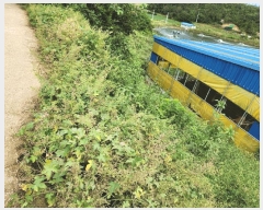  2025Ÿ��51471  ���ð��