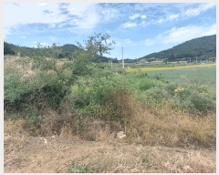  2025Ÿ��51493  �����