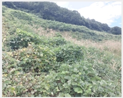  2025Ÿ��51493  �����