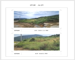  2025Ÿ��51493  �����