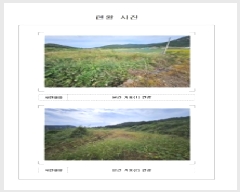  2025Ÿ��51493  �����