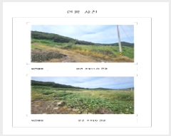  2025Ÿ��51493  �����