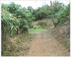  2025Ÿ��51500  �Ӿ߰��