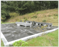  2025Ÿ��51500  �Ӿ߰��