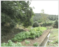  2025Ÿ��51500  �Ӿ߰��