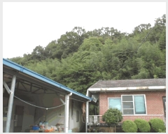  2025Ÿ��51500  �Ӿ߰��