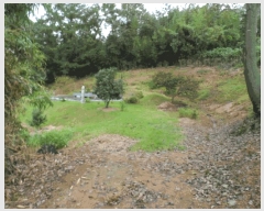  2025Ÿ��51500  �Ӿ߰��