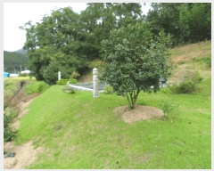  2025Ÿ��51500  �Ӿ߰��