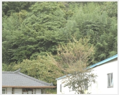  2025Ÿ��51500  �Ӿ߰��