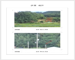  2025Ÿ��51500  �Ӿ߰��