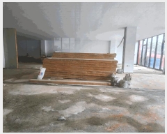  2025Ÿ��137 ���� ������ �׵� 6-2       ����(����)���