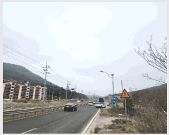  2025Ÿ��327 ���� ���ȱ� û��� ������ 557-1      ����(��)���