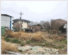  2025Ÿ��327 ���� ���ȱ� û��� ������ 557-1      ����(��)���