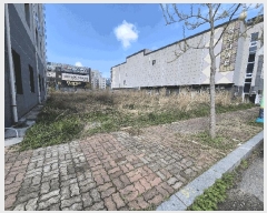  2025Ÿ334   ϵ 1237-3       ()