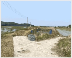  2025Ÿ��368  ����