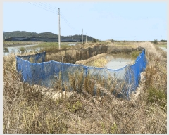  2025Ÿ��368  ����