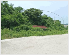  2025Ÿ��385  �����