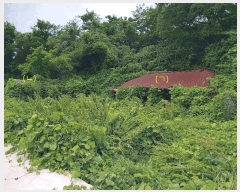  2025Ÿ��385  �����