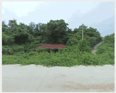  2025Ÿ��385  �����