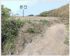  2025Ÿ��385  �����