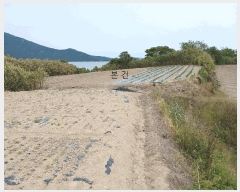  2025Ÿ��385  �����